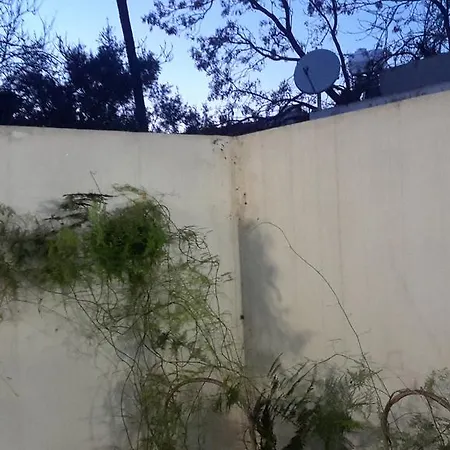 Chris House Tatil Evi